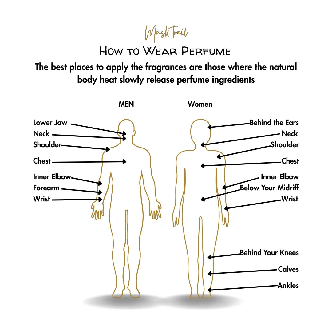 Luxury Perfume Discovery | 20 ML Set of 4 | Alpha For Men | Compact & Travel Friendly